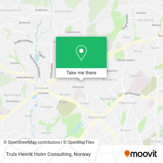 Truls Henrik Holm Consulting map