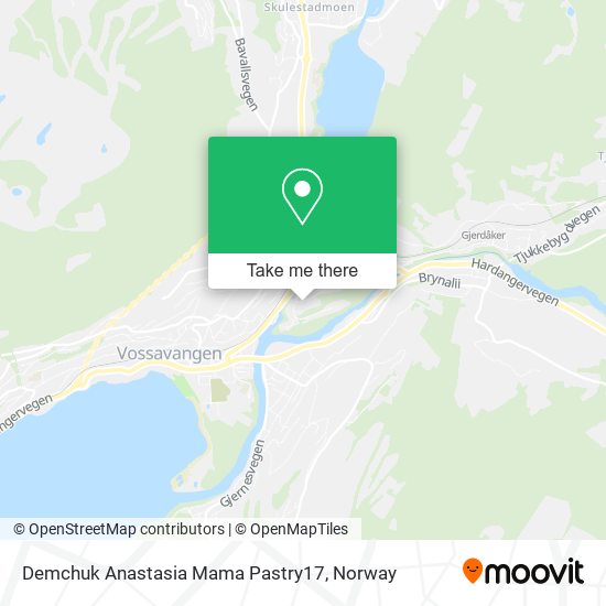 Demchuk Anastasia Mama Pastry17 map