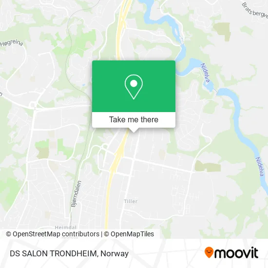 DS SALON TRONDHEIM map