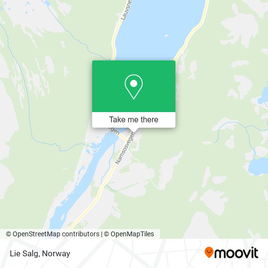 Lie Salg map
