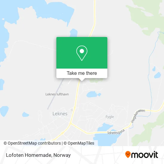 Lofoten Homemade map