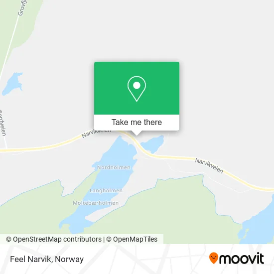 Feel Narvik map