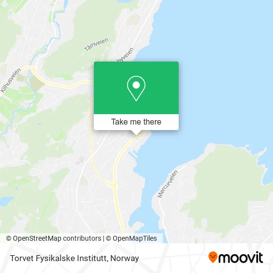 Torvet Fysikalske Institutt map