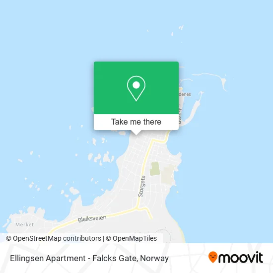 Ellingsen Apartment - Falcks Gate map