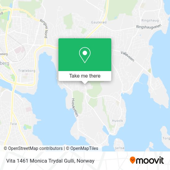 Vita 1461 Monica Trydal Gulli map