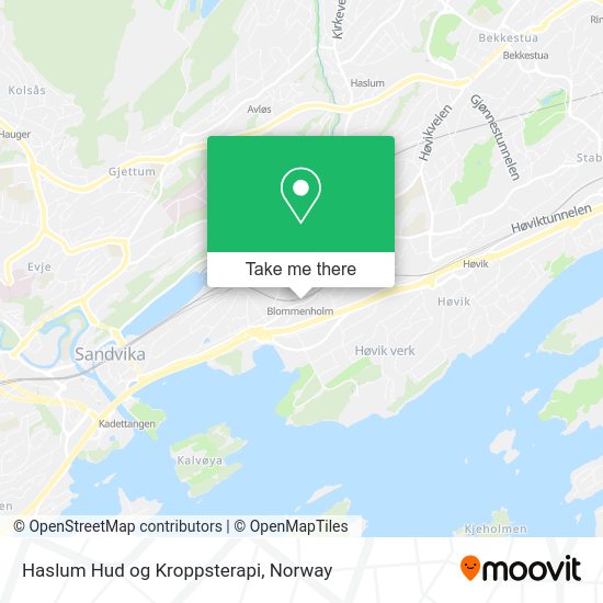 Haslum Hud og Kroppsterapi map