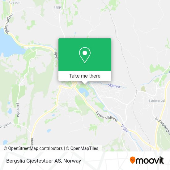 Bergslia Gjestestuer AS map