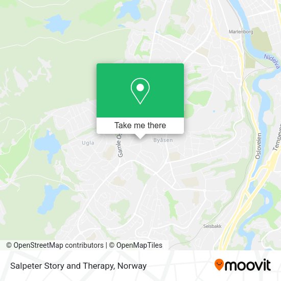 Salpeter Story and Therapy map