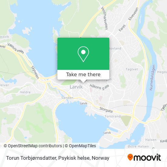 Torun Torbjørnsdatter, Psykisk helse map