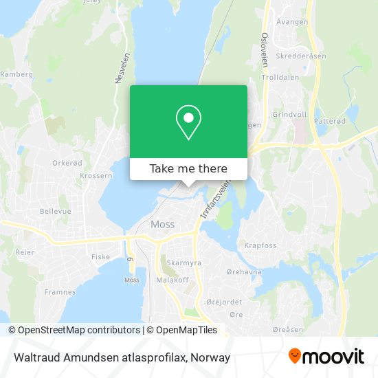 Waltraud Amundsen atlasprofilax map