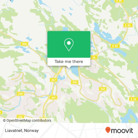 Liavatnet map