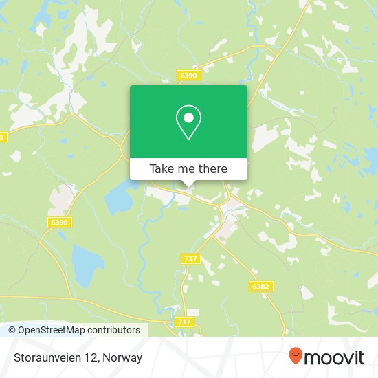 Storaunveien 12 map