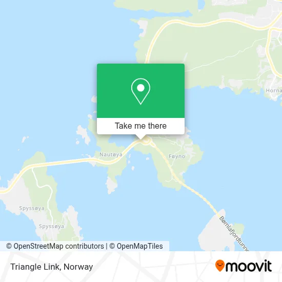 Triangle Link map