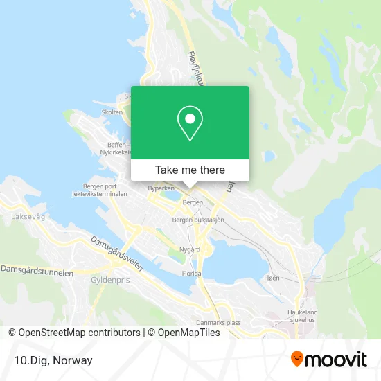 10.Dig map