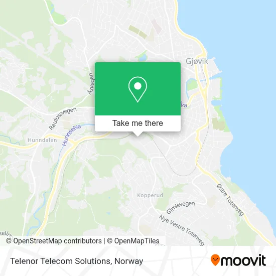 Telenor Telecom Solutions map