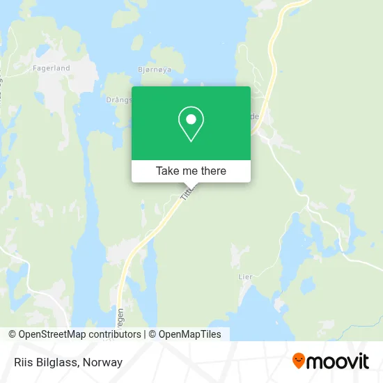 Riis Bilglass map