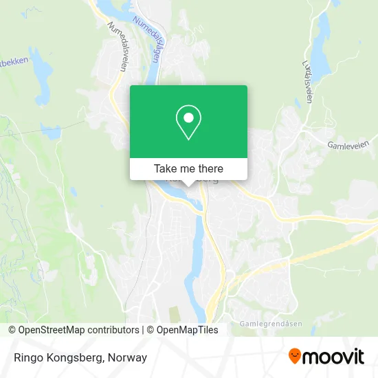 Ringo Kongsberg map