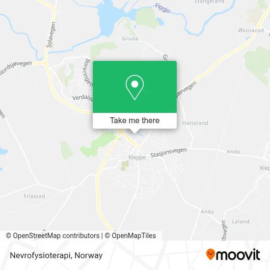 Nevrofysioterapi map