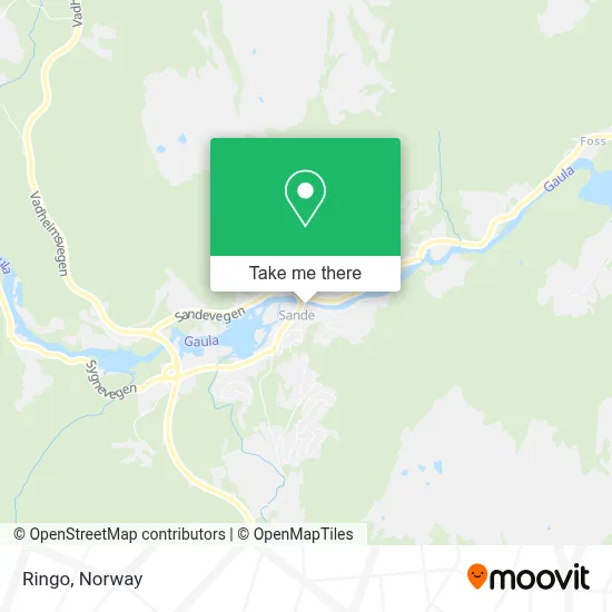 Ringo map