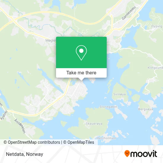 Netdata map