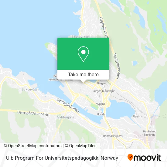 Uib Program For Universitetspedagogikk map