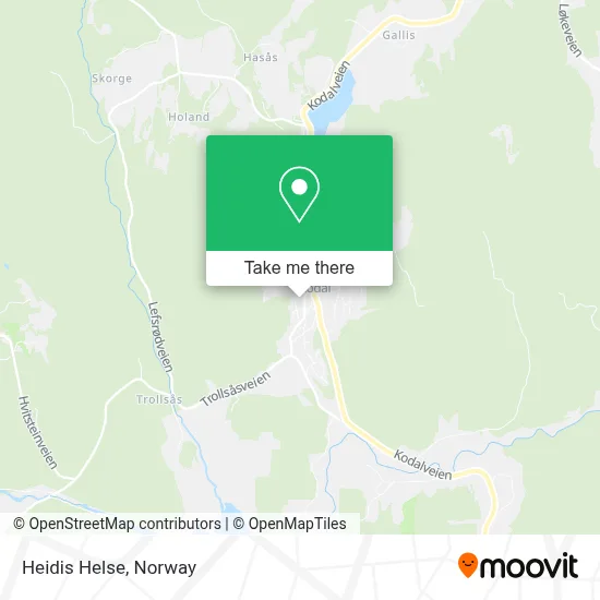 Heidis Helse map