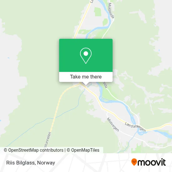 Riis Bilglass map