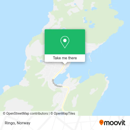 Ringo map