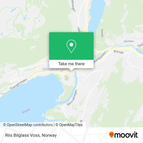 Riis Bilglass Voss map