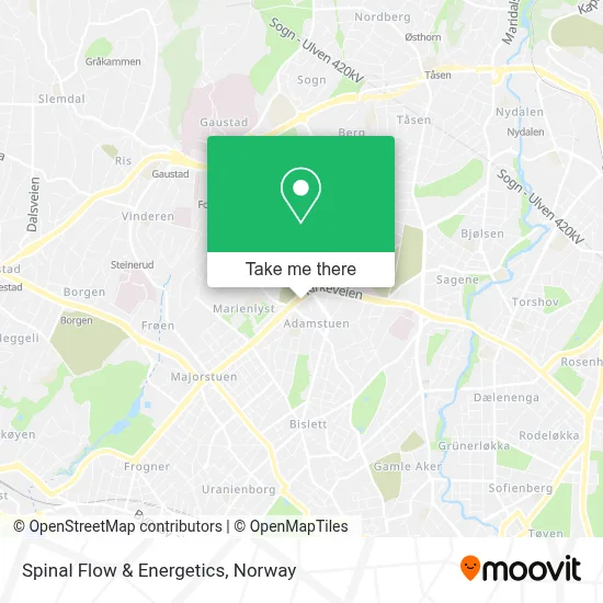 Spinal Flow & Energetics map