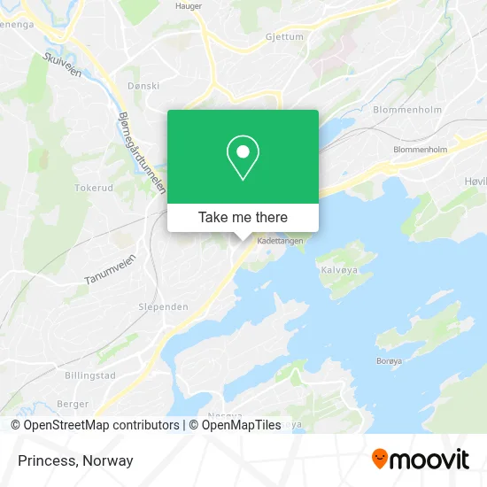 Princess map
