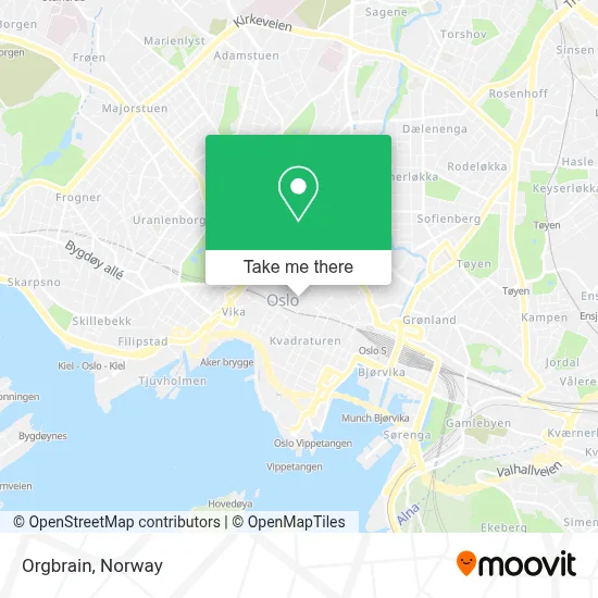 Orgbrain map