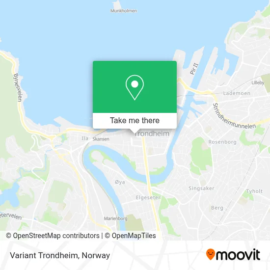 Variant Trondheim map
