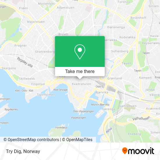Try Dig map