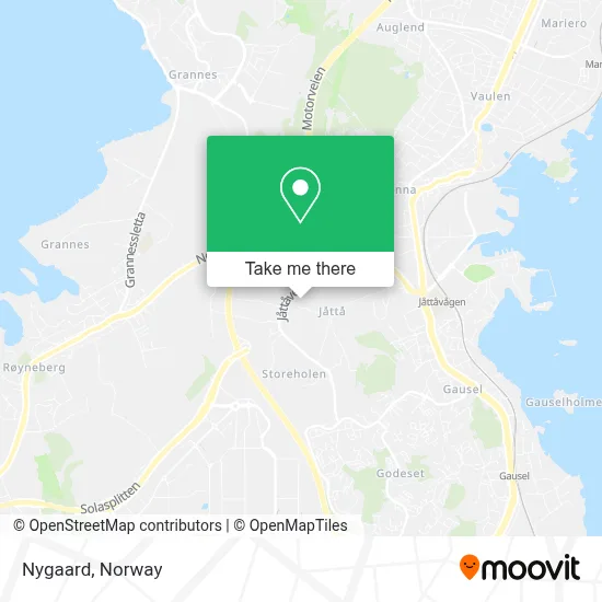 Nygaard map