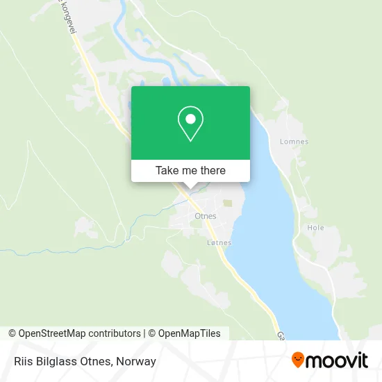 Riis Bilglass Otnes map