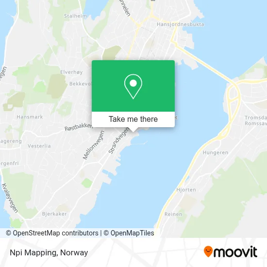 Npi Mapping map