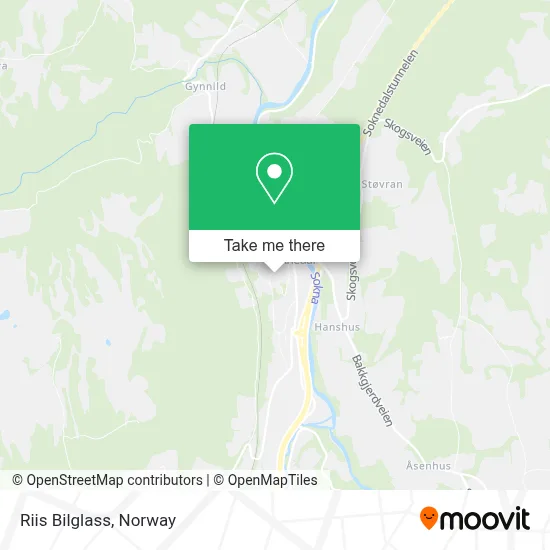 Riis Bilglass map