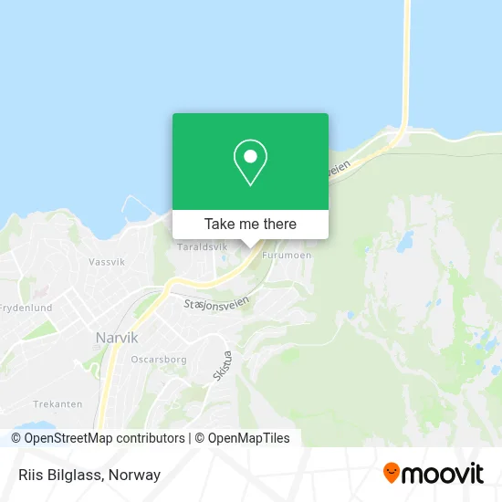 Riis Bilglass map