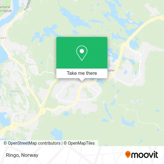 Ringo map