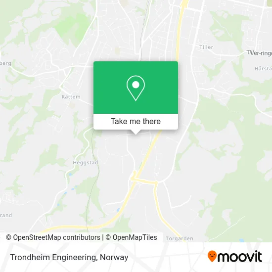 Trondheim Engineering map