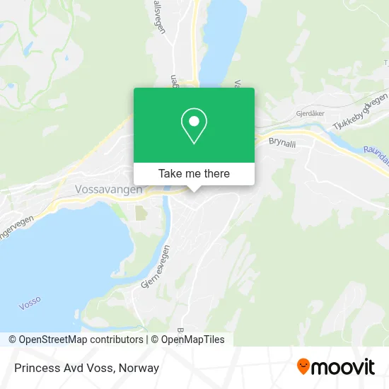 Princess Avd Voss map