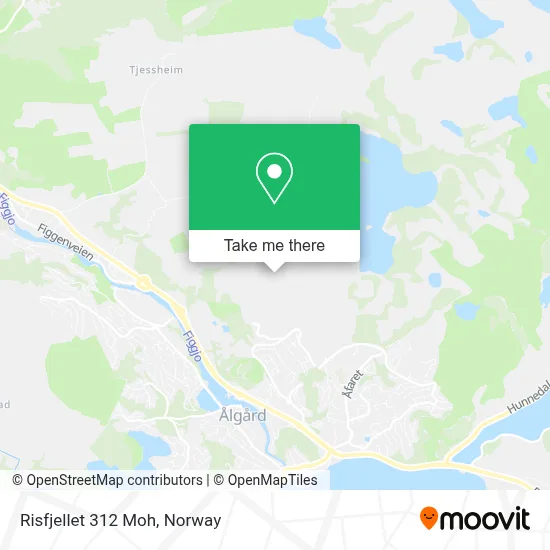 Risfjellet 312 Moh map