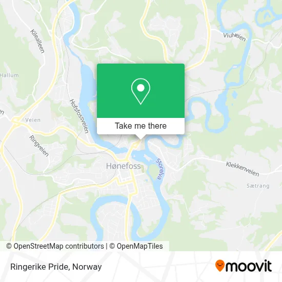 Ringerike Pride map