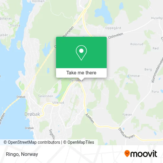 Ringo map