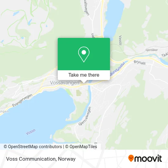 Voss Communication map