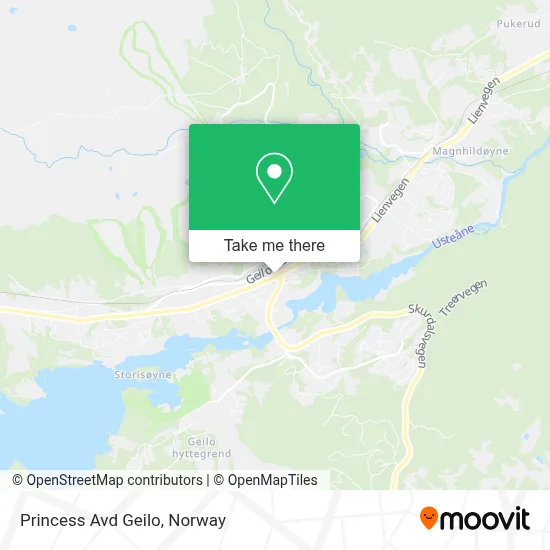 Princess Avd Geilo map