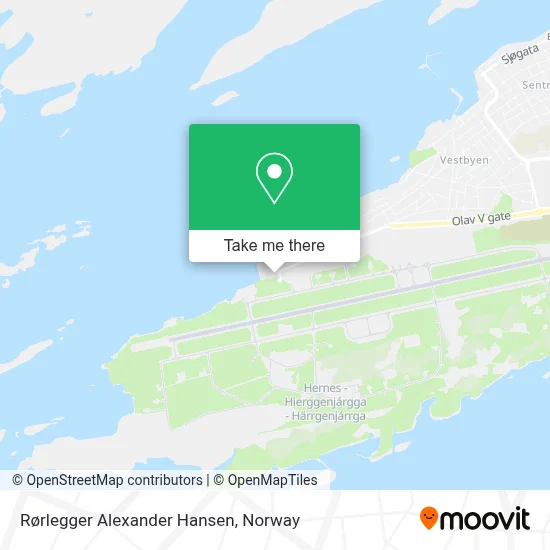 Rørlegger Alexander Hansen map