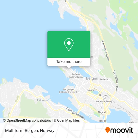Multiform Bergen map