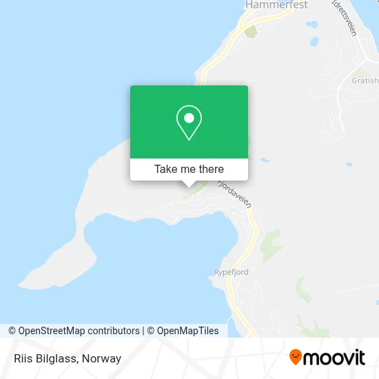 Riis Bilglass map